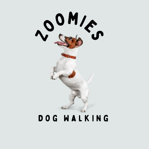 Zoomies Dog Walking
